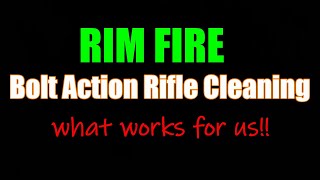 Rimfire rifle cleaning 4AW [upl. by Westfall]