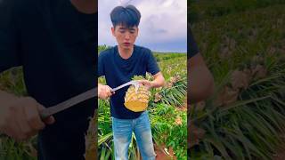 Enjoy cutting pineapple eating so fresh with natural landscape garden reels 2024 asmr top [upl. by Ssitnerp]