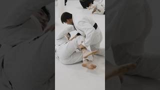 🤯 The legwork of Rafael Mendes bjj [upl. by Annavoeg598]