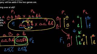 How to solve crossingover and map units centiMorgans problems [upl. by Enohsal]