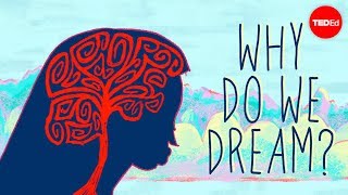 Why do we dream  Amy Adkins [upl. by Adriano]