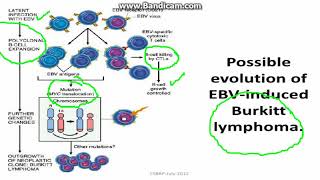 Microbial carcinogenesis [upl. by Barren]