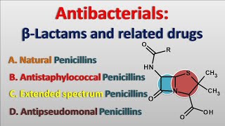 Antibacterials  Betalactam antibiotics and related drugs [upl. by Auod436]