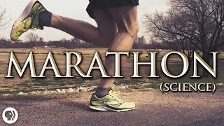 The Science of Marathon Running [upl. by Nalyk479]