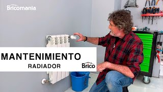 Cómo PURGAR los radiadores y su MANTENIMIENTO de manera profesional 👨‍🔧💡 ¡Fácil y Rápido Bricomanía [upl. by Iney]