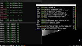 MoonriseC2  Best Botnet C2 2024  Slamming OVH amp FiveM [upl. by Katy585]