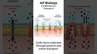 AP Bio  26 Passive and Active Transport apbiology cellbiology [upl. by Eeliab]