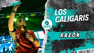 LOS CALIGARIS  Razón Teatro Coliseo 2024 🎪🎶 [upl. by Quintin]