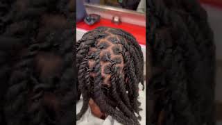 2 strand twist double twist style locshairstyles [upl. by Pippa873]