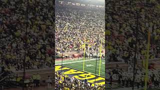 Wild Ones Sia Student Cover at Michigan Vs Fresno State 2024 [upl. by Navert]