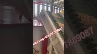 Limas poultry feed making machine extruder poultryfeed youtubeshorts factory testmachine [upl. by Aimit]