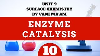 Enzyme CatalysisPart 10 Cbse grade 12 surface chemistryUnit 5 tricks Vani maam [upl. by Imre]