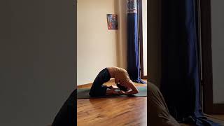 Kapotasana [upl. by Rector]