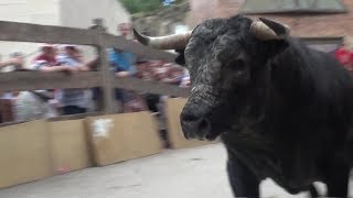 Encierros El Boalo Fiestas 2017 [upl. by Kcerb411]