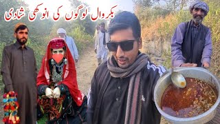 Unique wedding of Bakarwal people  village Dullar Sharif [upl. by Leiuqeze66]