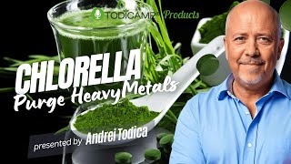 How Chlorella Helps in Detoxifying Your Body and Eliminate Heavy Metals [upl. by Acirat665]