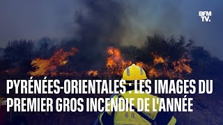 PyrénéesOrientales les images du premier gros incendie de lannée [upl. by Thorn]