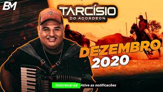 TARCISIO DO ACORDEON  NADA É IMPOSSIVEL TUDO É INVISIVEL  2021 [upl. by Woll748]