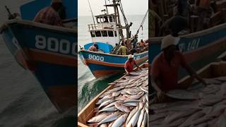 Fishing Boats Docking at the Bustling Morning Market 🚢🌊 FishingBoats [upl. by Aihsakal]