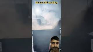 Bird cooking on the iceentertainment shorts 🐦🐦🐦🦆🦆🦆🦆👍👍👍👍👍🙏🙏🙏🙏 [upl. by Bridge]