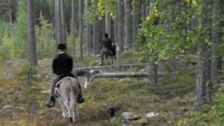 Trail riding on the donkeys [upl. by Sarena567]