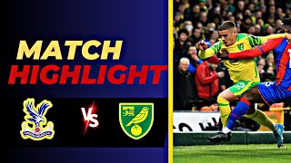 Crystal Palace VS Norwich  Highlights  England Carabao Cup  28 August 2024 [upl. by Ennovyahs]