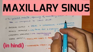 Paranasal Sinuses  2  Maxillary Sinus [upl. by Ateekal]