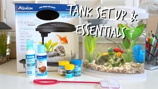 HOW TO SET UP A BETTA FISH TANK  ESSENTIALS [upl. by Ader]