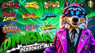 ⚡SUPER MIX CUMBIAS SONIDERAS LIMPIAS 2024😎CUMBIAS PERRONAS MIX CUMBIAS PARA BAILAR TODA LA NOCHE💃 [upl. by Norted794]