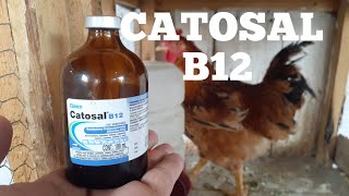 CATOSAL B12 PARA AS AVES [upl. by Naivad220]