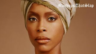 Erykah Badu  quotFreak n You Jodeci  Didn’t Cha Knowquot Mashup [upl. by Tterrej]