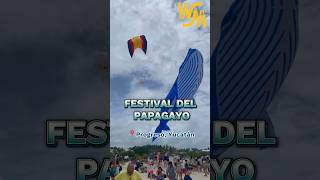 Así se vivió el Festival del Papagayo 2024 en Progreso Yucatán 🫶🏻 [upl. by Thill370]