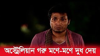 অস্ট্রেলিয়ার মানুষ অস্ট্রেলিয়ার গরুর মতো  Jamil Hossain  Funny Video  BanglaVision Entertainment [upl. by Aicarg]