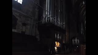 Davy Jones Theme  Vienna main cathedral organ [upl. by Athena]