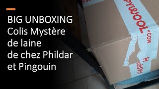 BIG UNBOXING Colis Mystère de laine PHILDAR et PINGOUIN et ma TRICOTHEQUE [upl. by Fabron]