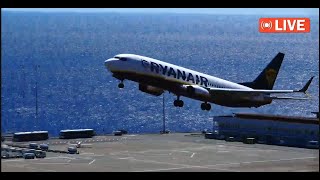 Madeira Airport Live Action LPMA Spotter ✈️ 13112024 [upl. by Amron151]