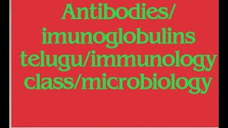 antibodies immunoglobulinsmicrobiology class telugumedtelugu [upl. by Brine]