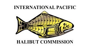 Pacific halibut otolith removal [upl. by Culhert33]