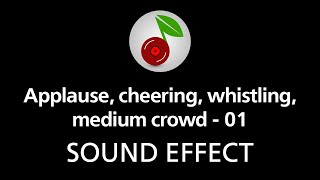 🎧 Applause cheering whistling medium crowd  01 SOUND EFFECT [upl. by Clawson]