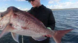 Snapper Fishing  Hervey Bay [upl. by Ling]