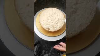 Rasmalai flavour cake  part 1 shortvideo shorts cake [upl. by Roel402]