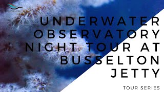 Busselton Jetty Tour Series Underwater Observatory Night Tour [upl. by Sadirah]