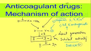 Anticoagulant drugs mechanism of action and therapy Oral anticoagulantsPhysiology  Pharmacology [upl. by Niel676]