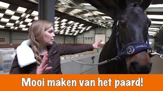 How to Mooi maken van het paard PaardenpraatTV [upl. by Seravart902]