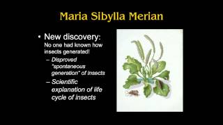 ARTH 2020 Maria Sibylla Merian Science and Art [upl. by Rebor]