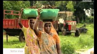 euronews Terra viva  Muni Seva a GreenTech Indian Ashram [upl. by Enrobyalc423]