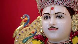 Shri Swaminarayan Jayanti Guruhari Darshan 14 Apr 2019 Sarangpur India [upl. by Budde]