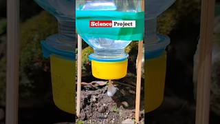 Ideas in Hindi  Science project experiment shorts youtube hacksinhindi diy shortvideodikhao [upl. by Asilram]