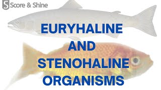 EURYHALINE AND STENOHALINE ORGANISMS  EXAMPLES  PREVIOUS YEAR QUESTION  TARGET SO AFO 20222023 [upl. by Gnot]