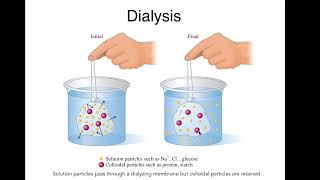 Lecture 163 Properties of Liquid Mixtures [upl. by Craven]